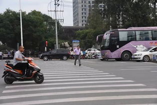 湛江汽车逆行罚款多少